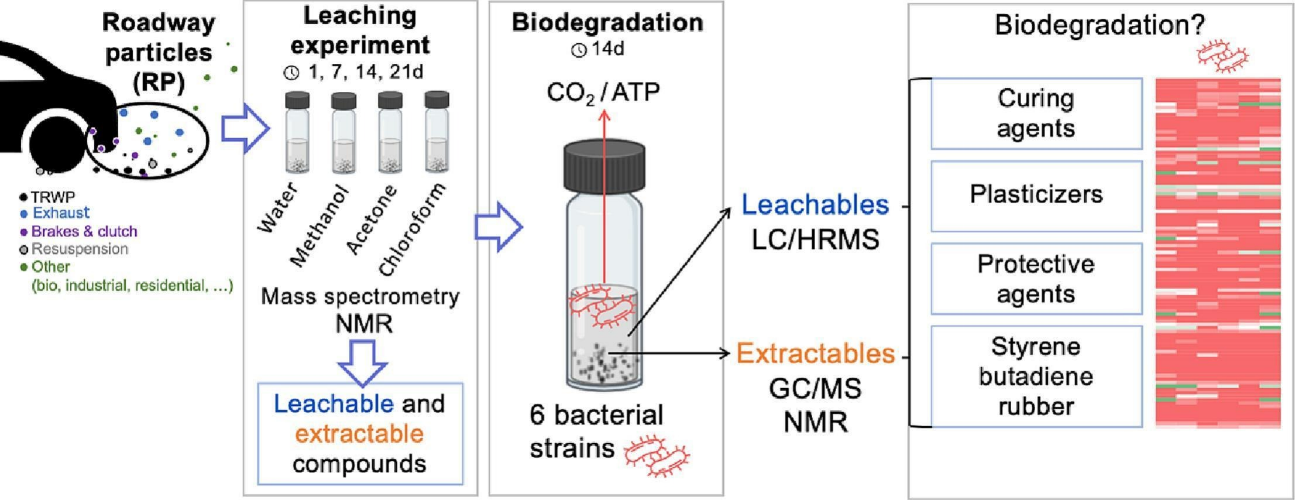 Sch��ma - BioDLAB